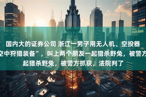 国内大的证券公司 浙江一男子用无人机、空投器、箭矢等组装“空中狩猎装备”，叫上两个朋友一起猎杀野兔，被警方抓获，法院判了