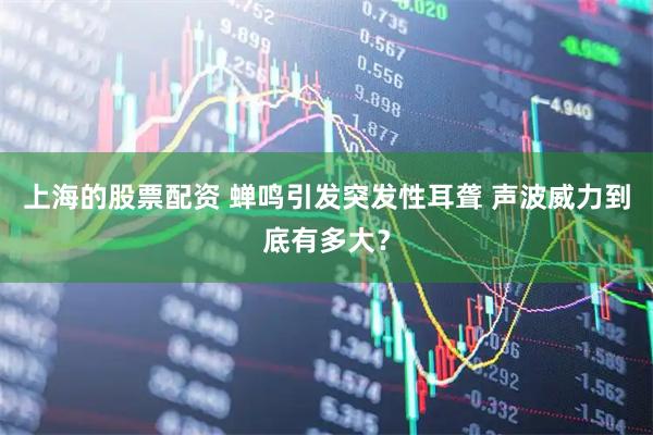 上海的股票配资 蝉鸣引发突发性耳聋 声波威力到底有多大？